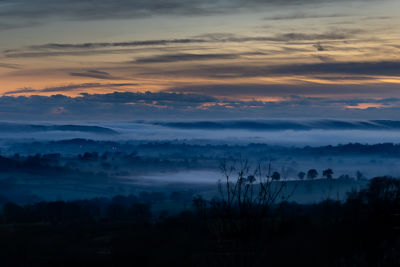 Dorset