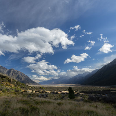 Nz603wa