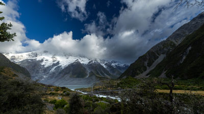 Nz595bw