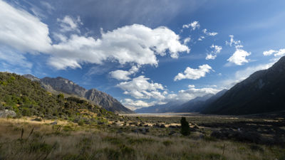 New Zealand