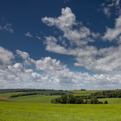 Dorset