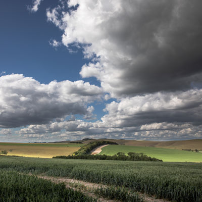 Dorset